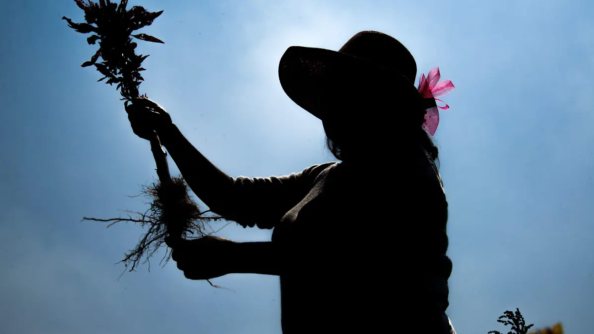 803109_Mujeres productoras del campo-1_impreso